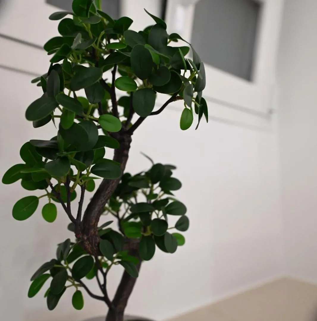 Bed and Breakfast Al Guiscardo 8 Bari